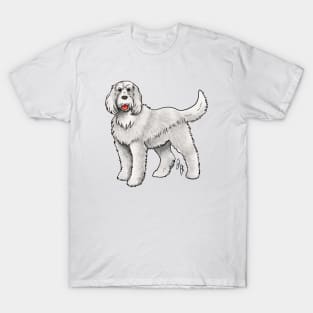 Dog - Spinone Italiano - White T-Shirt